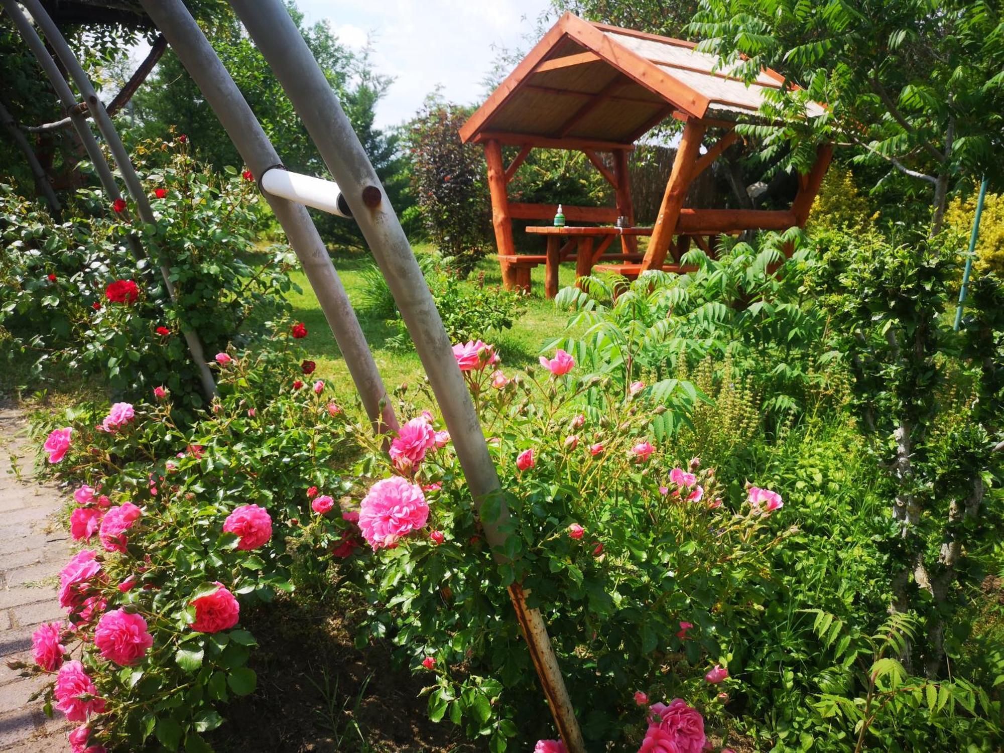 Bed and Breakfast Pilisi Lovas Major, Dorog Экстерьер фото